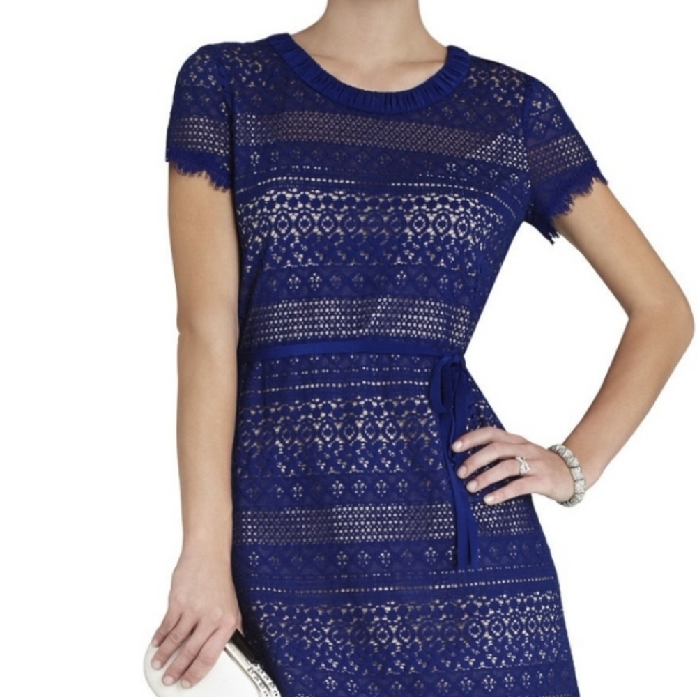 BCBG MaxAzria Darlita Lace Sheath Dress